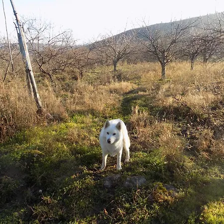 Generoso Kır Evi Madronal