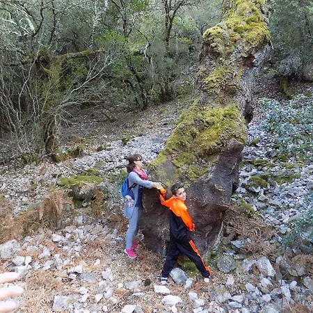 Kır Evi Generoso *
