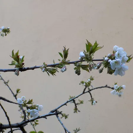 Casa di campagna Generoso *