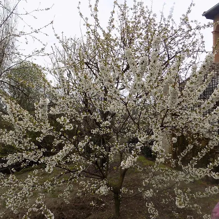 Generoso Casa di campagna