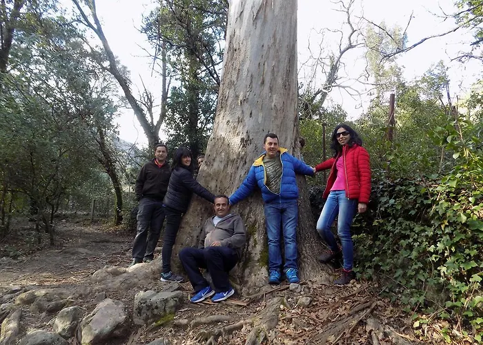 Generoso 컨트리하우스 *