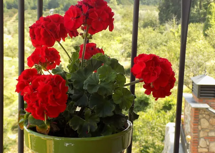 Generoso 컨트리하우스 Madronal